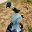 Small image 1