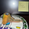 Small image 1
