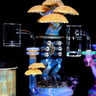 Small image 4