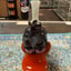 Small image 3