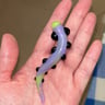 Small image 2