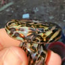 Small image 4