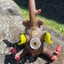 Small image 2