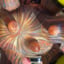 Small image 7
