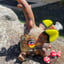 Small image 4