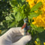 Small image 5