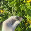 Small image 7