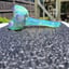 Small image 8