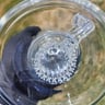 Small image 5