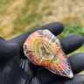 Small image 4