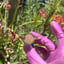 Small image 6