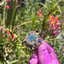 Small image 8