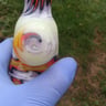 Small image 4