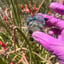 Small image 5