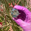 Small image 6