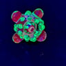 Small image 3