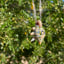 Small image 3