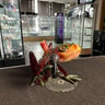 Small image 1