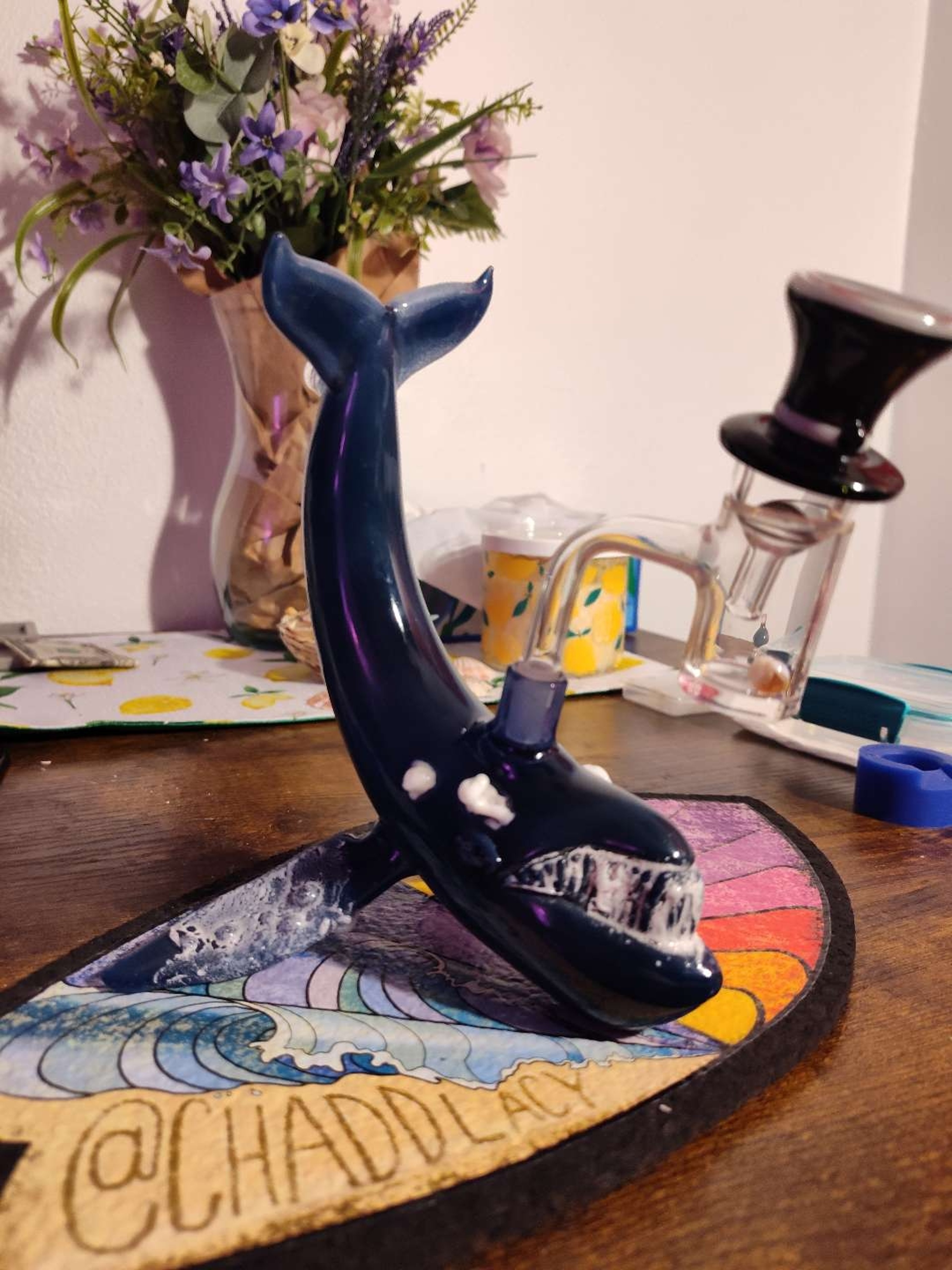 Preview pic of Chadd Lacy wright whale