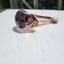 Small image 8