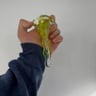 Small image 2