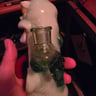 Small image 2