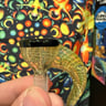 Small image 4