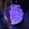 Small image 5