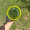 Small image 4