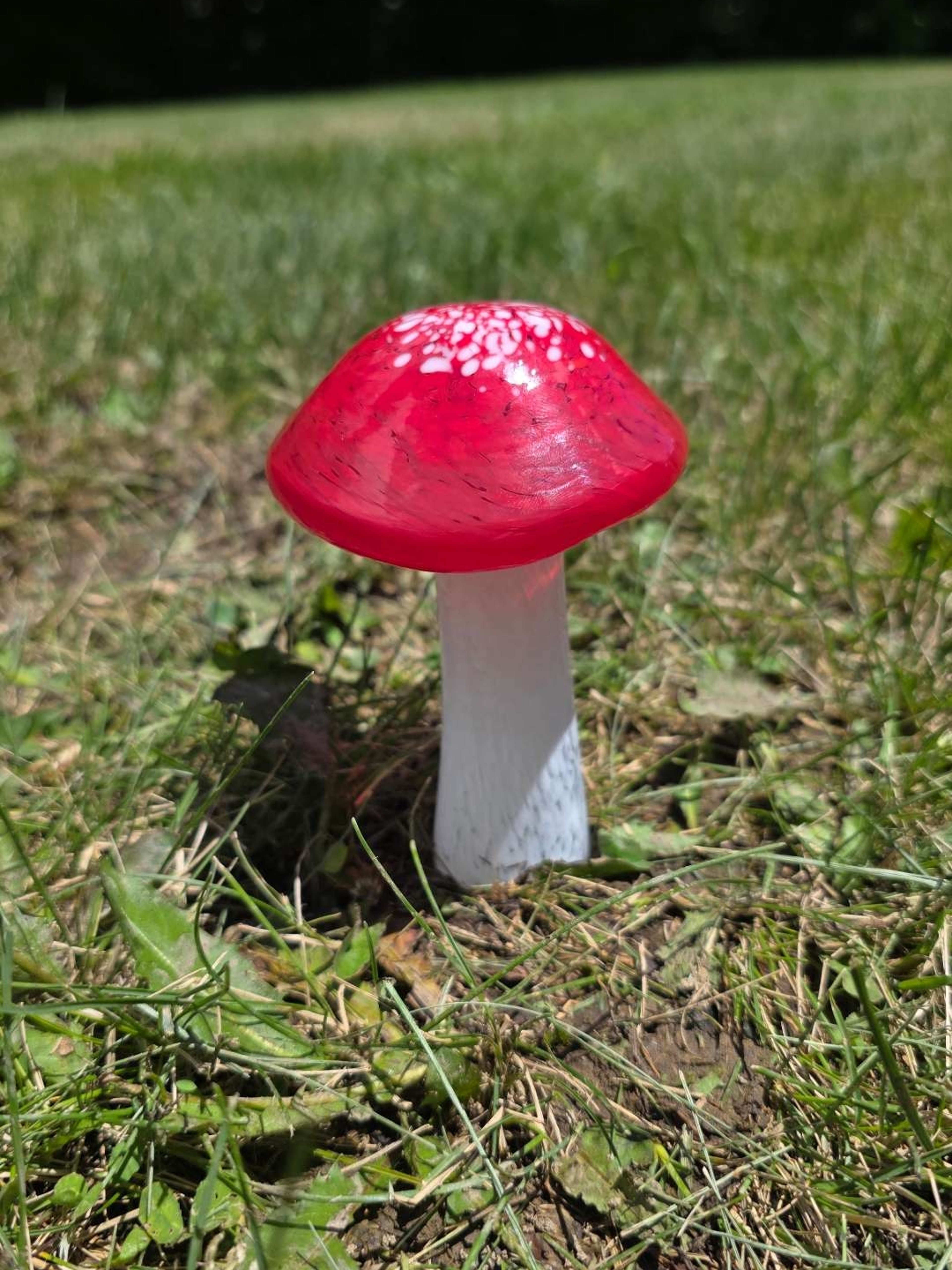 Preview pic of Glass garden mushroom 🍄