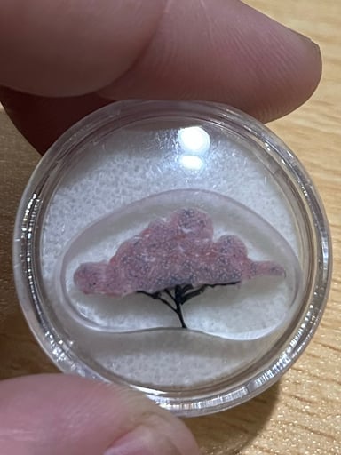Preview pic of Ian Michael Cherry Blossom Milli Coin