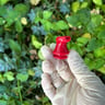 Small image 2