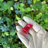 Small image 5