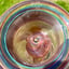 Small image 7