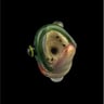 Small image 4