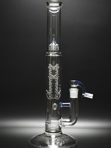 Preview pic of Bishop - PA Gline x1 Millie