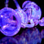 Small image 9