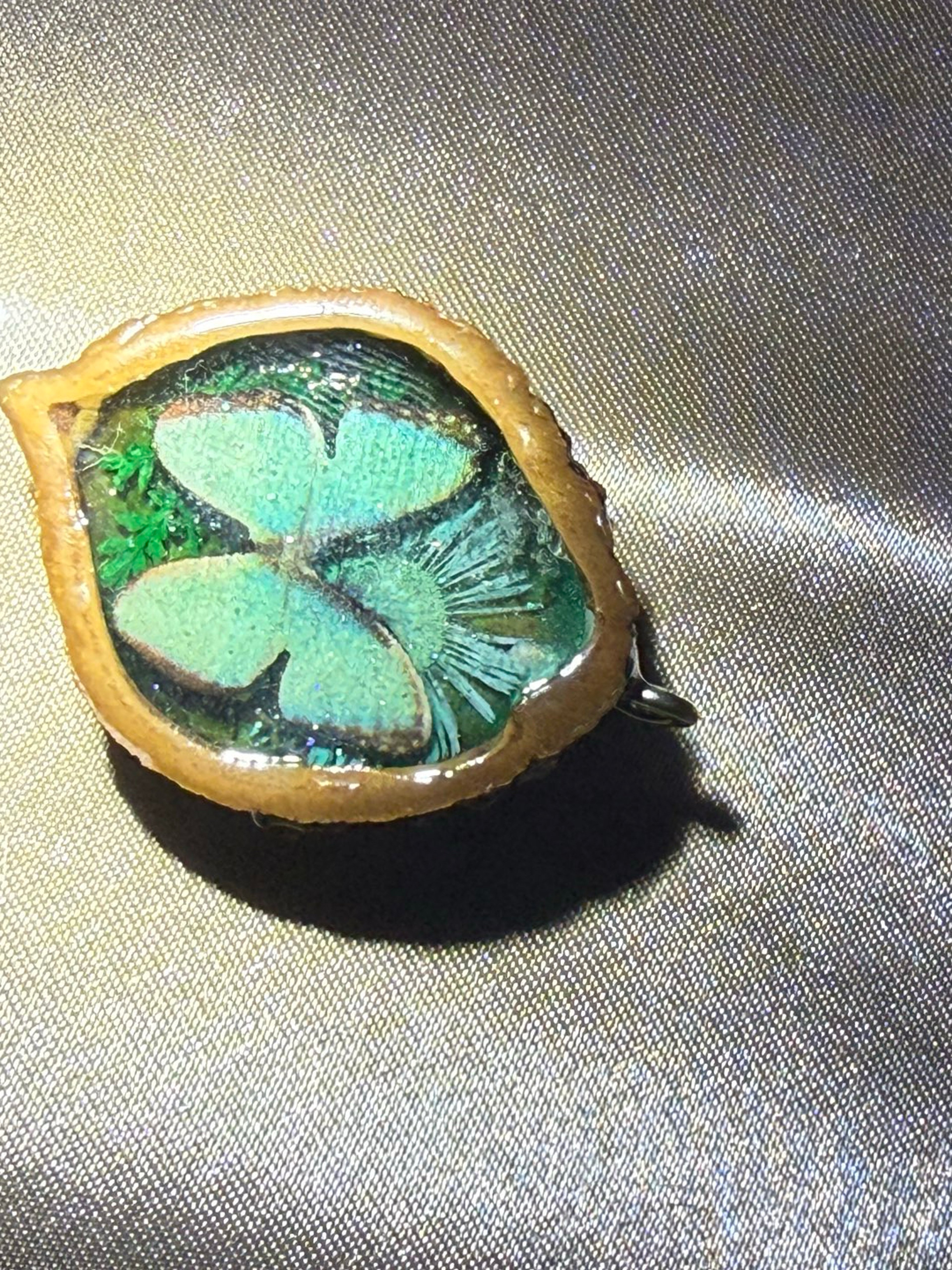 Preview pic of Walnut pendy