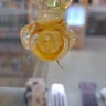 Small image 4