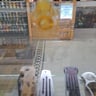 Small image 3