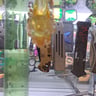 Small image 6