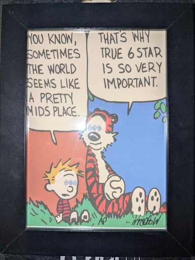 Preview pic of Wookerson Artist Proof Print "Thats Why True 6 Star is so very important"