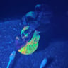 Small image 3
