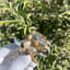 Small image 7