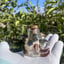 Small image 9
