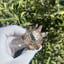 Small image 8