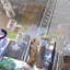Small image 7