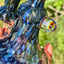 Small image 8