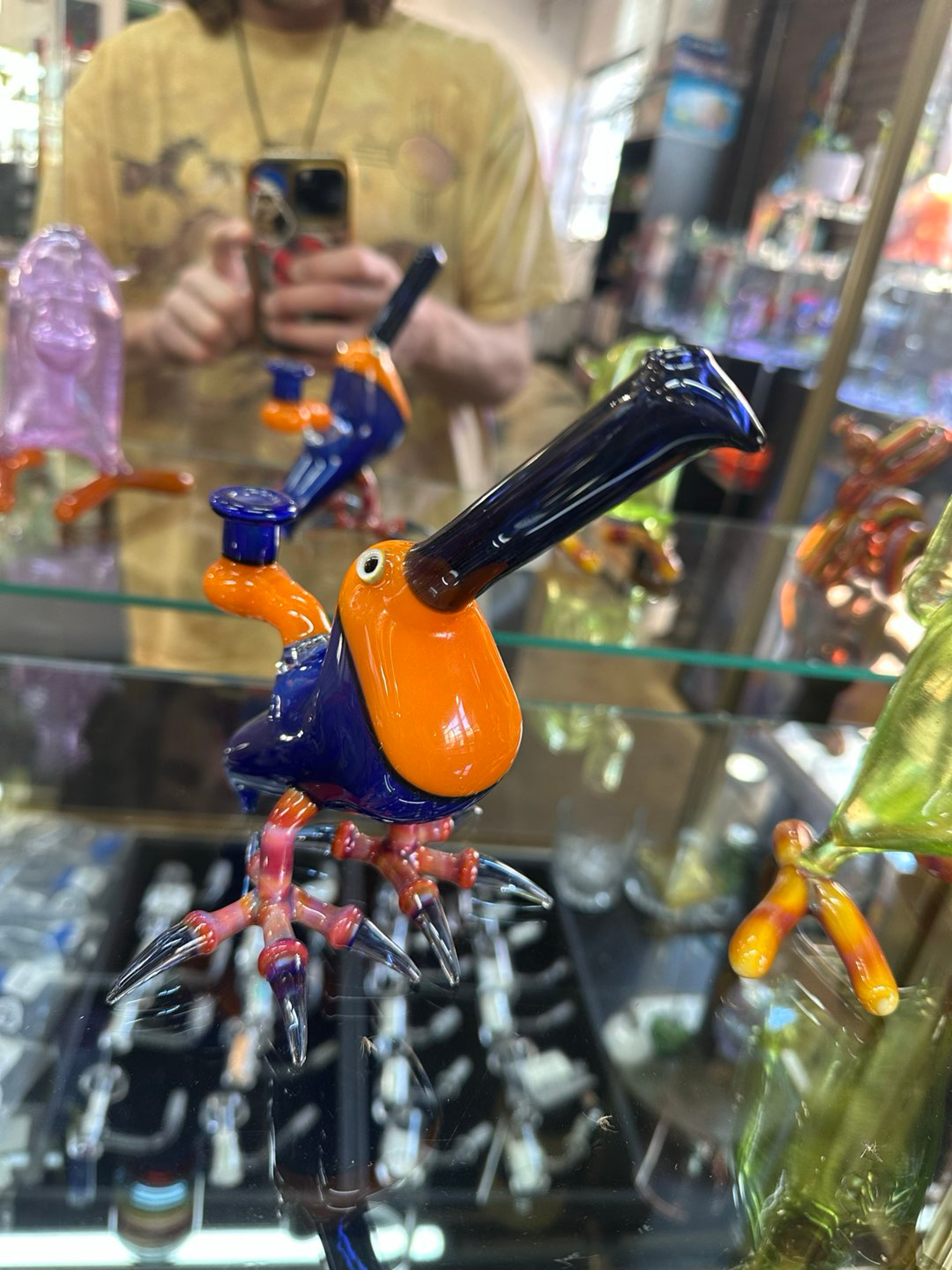 Preview pic of 10mm female Burtoni Toucan