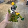 Small image 0
